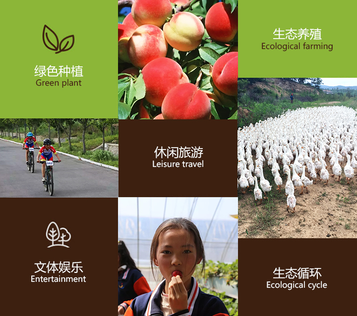 开云体育入口网址 开云体育入口网址